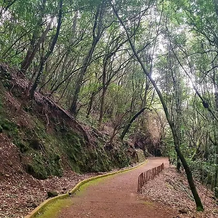 Casa Calma Ii Tranquilidad En Tenerife Norte タコロンテ